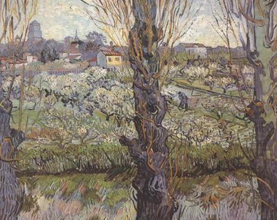 Vincent Van Gogh Orchard in Blossom with View of Arles (nn04) china oil painting image
